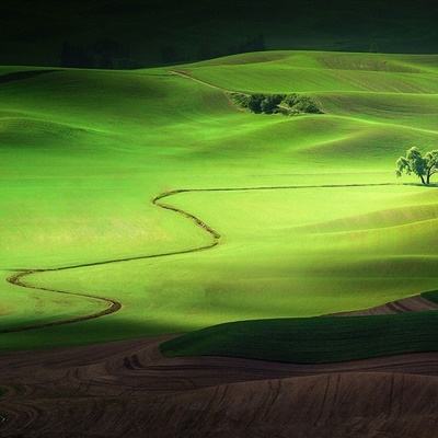 云开体育·app官方入口